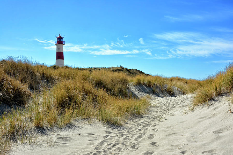 Dunes Of Sylt Photograph