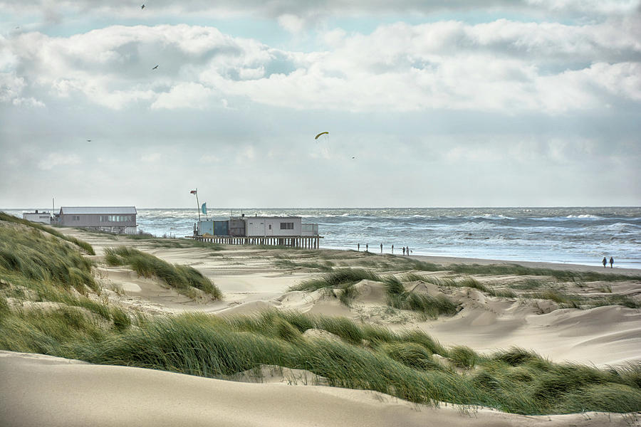 Dunes Of Texel Photograph