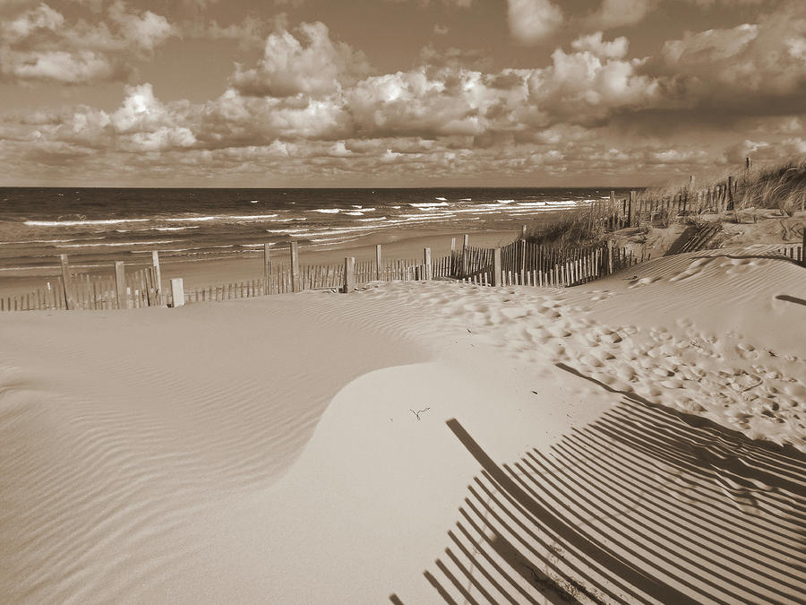 Dunes of Winter in Sepia Photograph by Dianne Cowen Cape Cod Photography