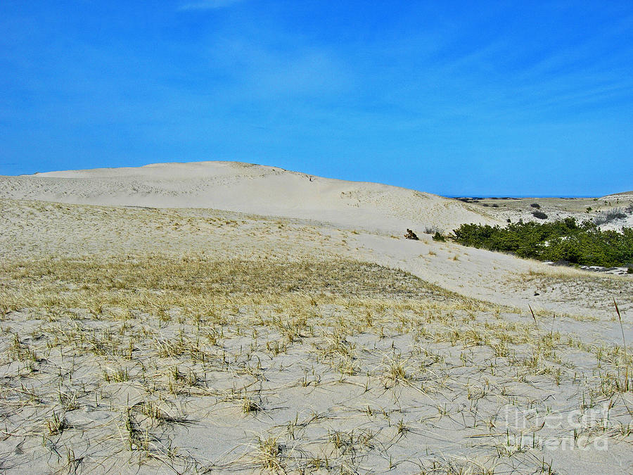 Dunes On The Cape Photograph by Skip Willits