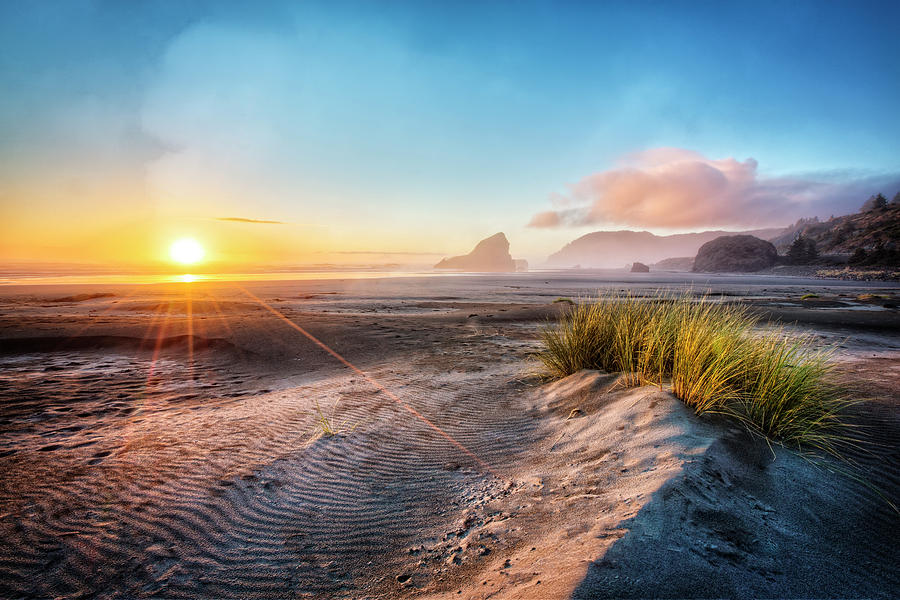 Dunes on The Pacific Coastline Photograph by Debra and Dave Vanderlaan