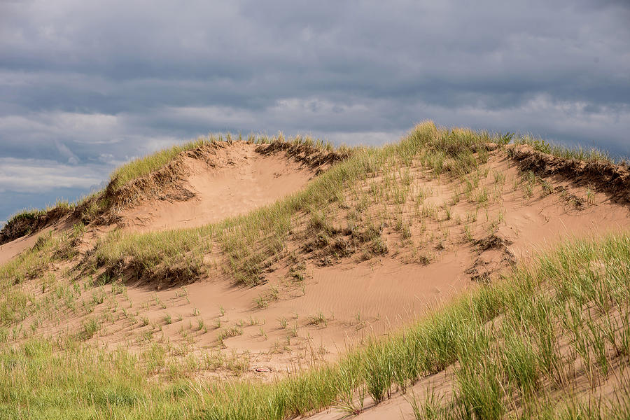 Dunes - Prince Edward Island Photograph By Bob Jensen - Fine Art America