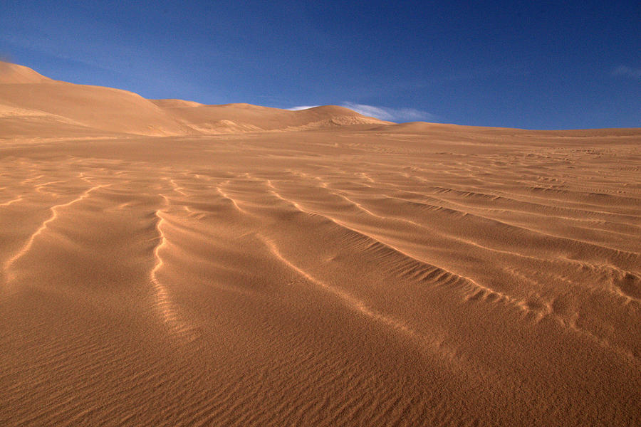 Dunes Reward.. Photograph by Al Swasey