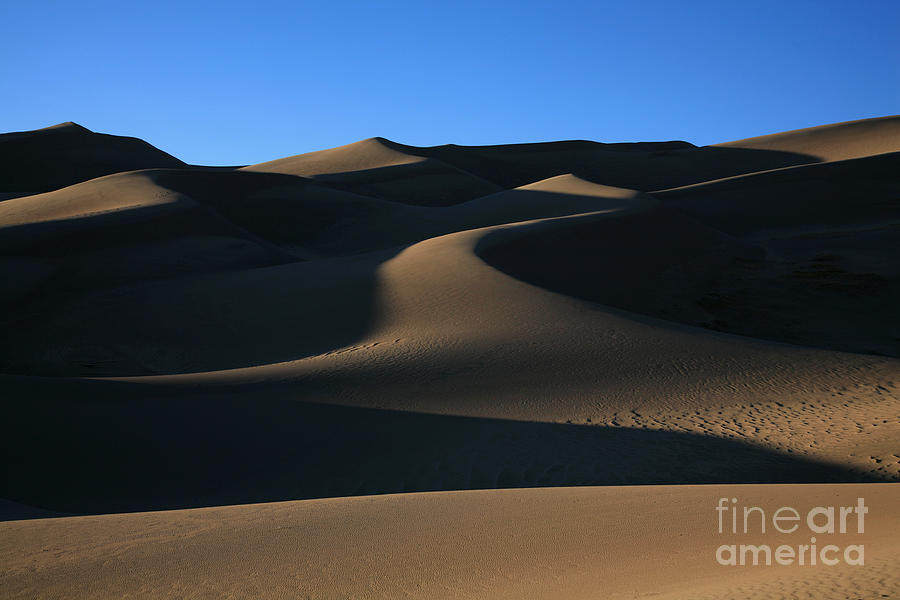 Dunes Photograph by Timothy Johnson