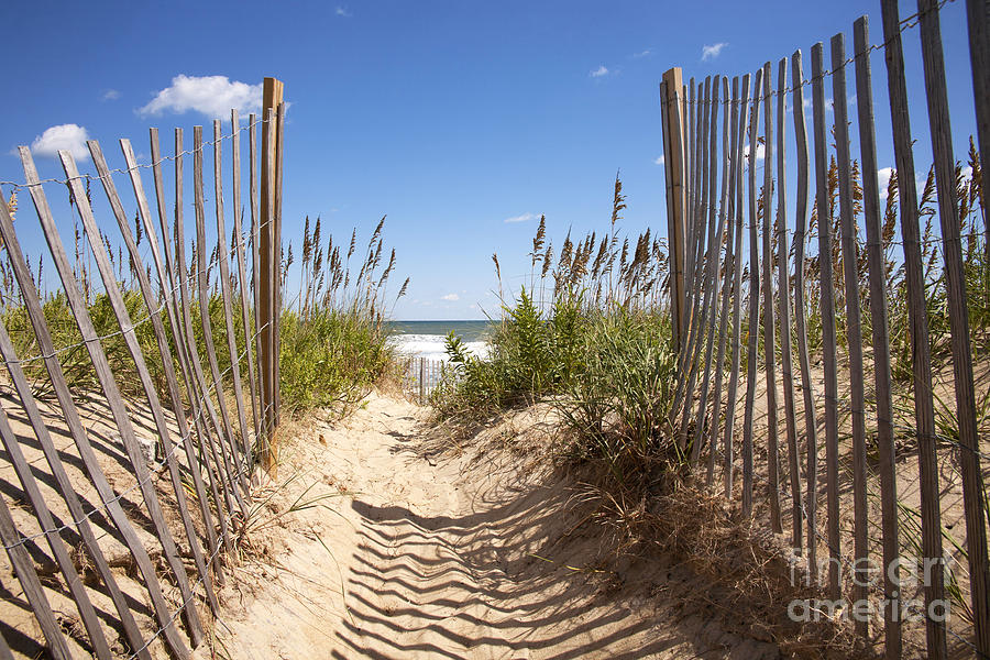 Dunes to the Beach Photograph by Karen Foley