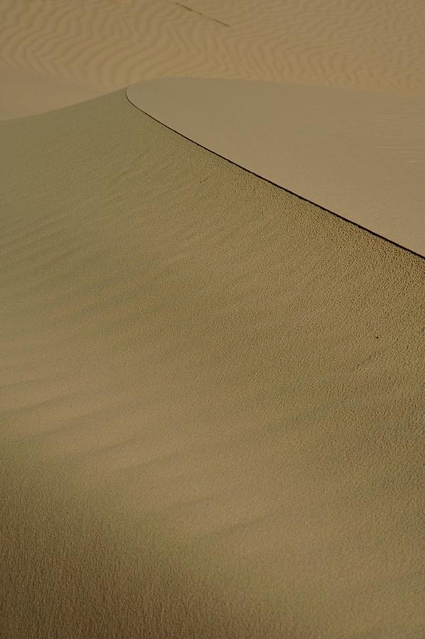 Dunes by Vince McCall Dunes by Vince McCall