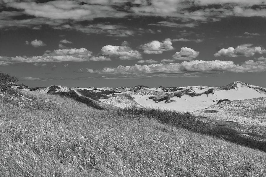 Dunescape in Black and White Photograph by Marisa Geraghty Photography