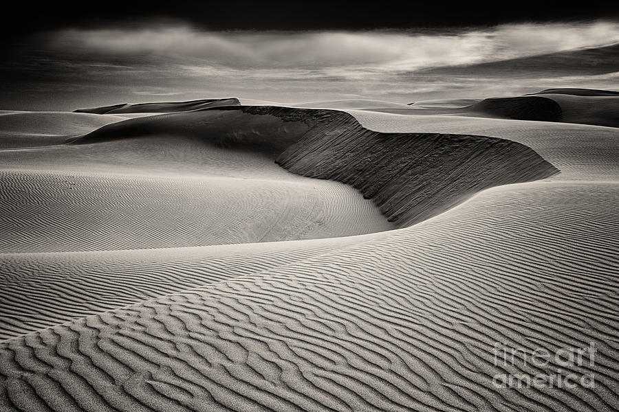Dunescape In Sepia Tones Photograph by Mimi Ditchie