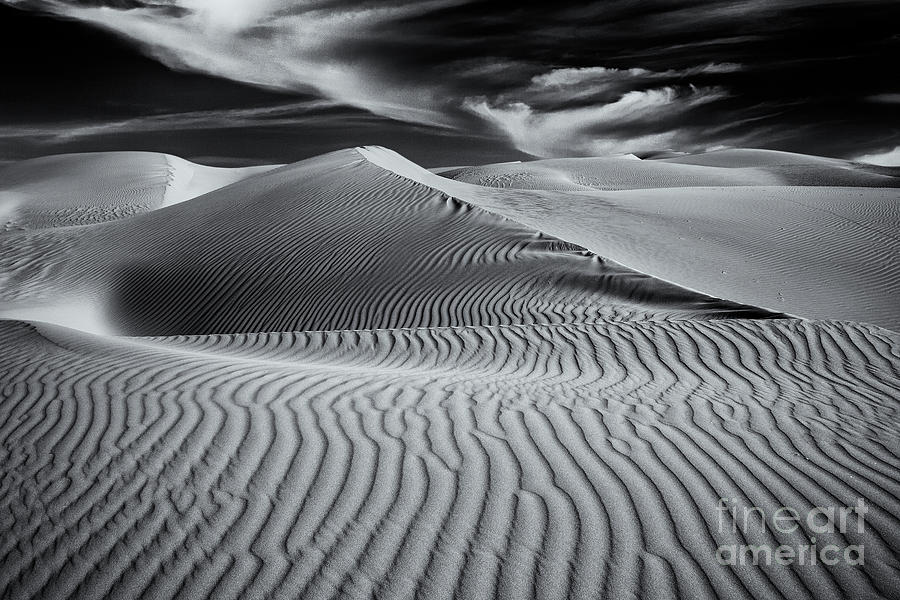 Dunescape Photograph by Mimi Ditchie