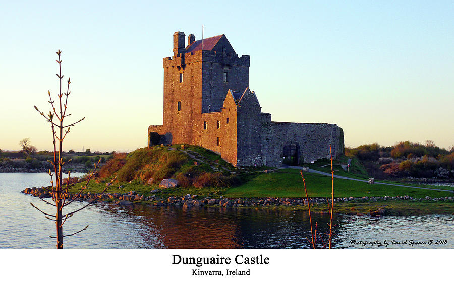 Dunguaire Castle Photograph by David Speace
