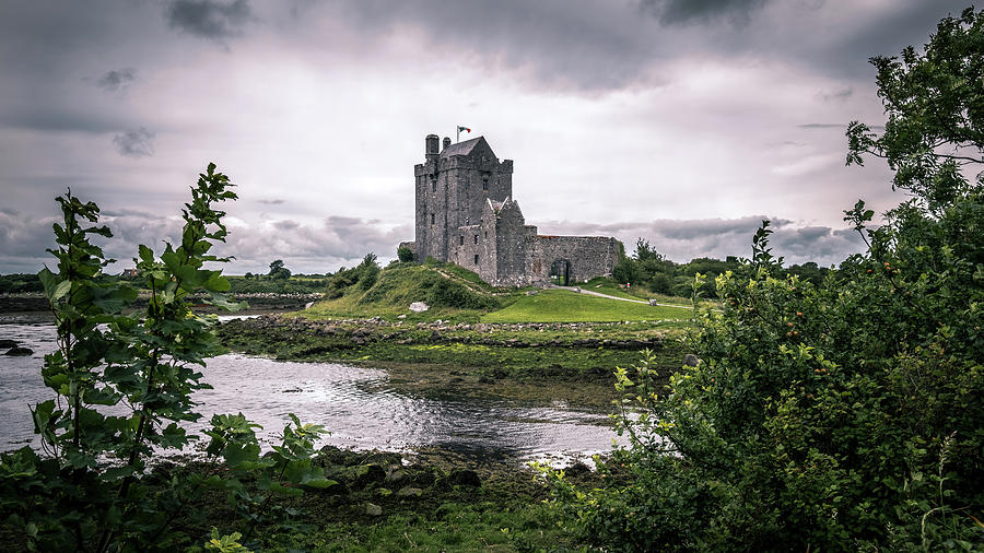 Castle Photograph - Dunguaire Castle - Kinvara, Ireland - Travel photography by Giuseppe Milo