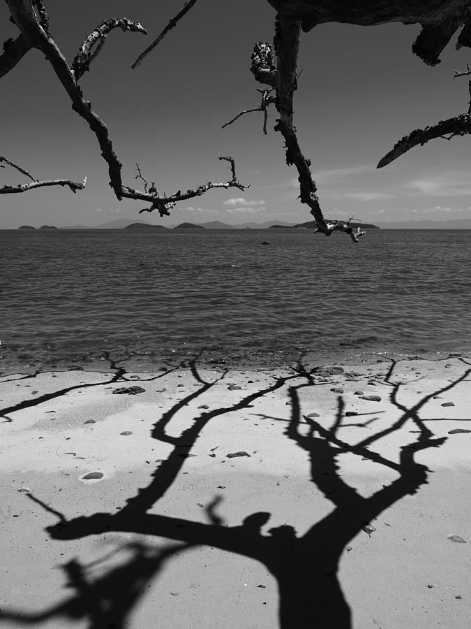 Dunk Island Australia 172 Photograph by Per Lidvall