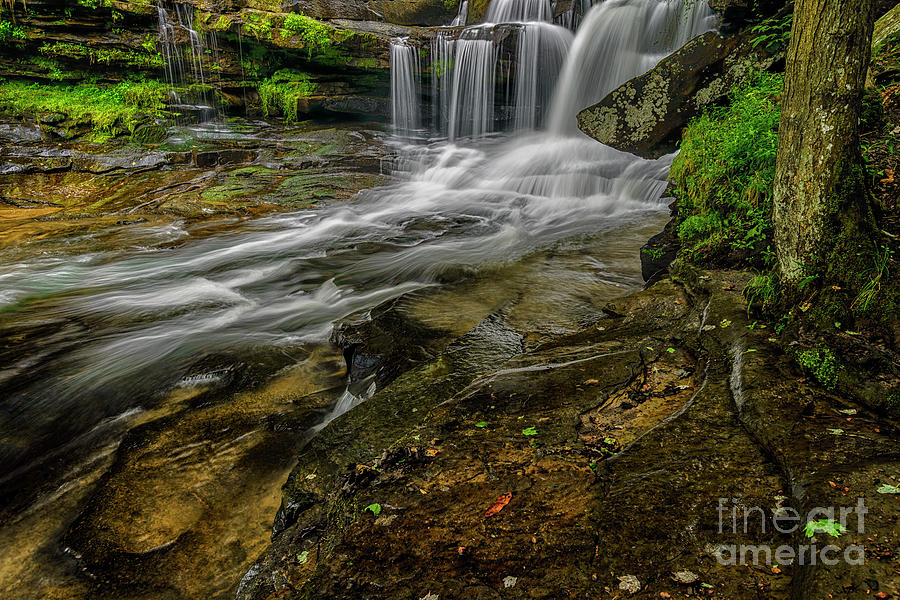 Dunloup Creek Falls Photograph by Thomas R Fletcher