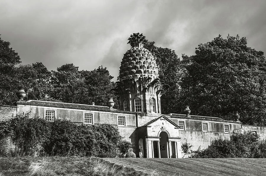 Dunmore Pineapple. Black and White Photograph by Jenny Rainbow