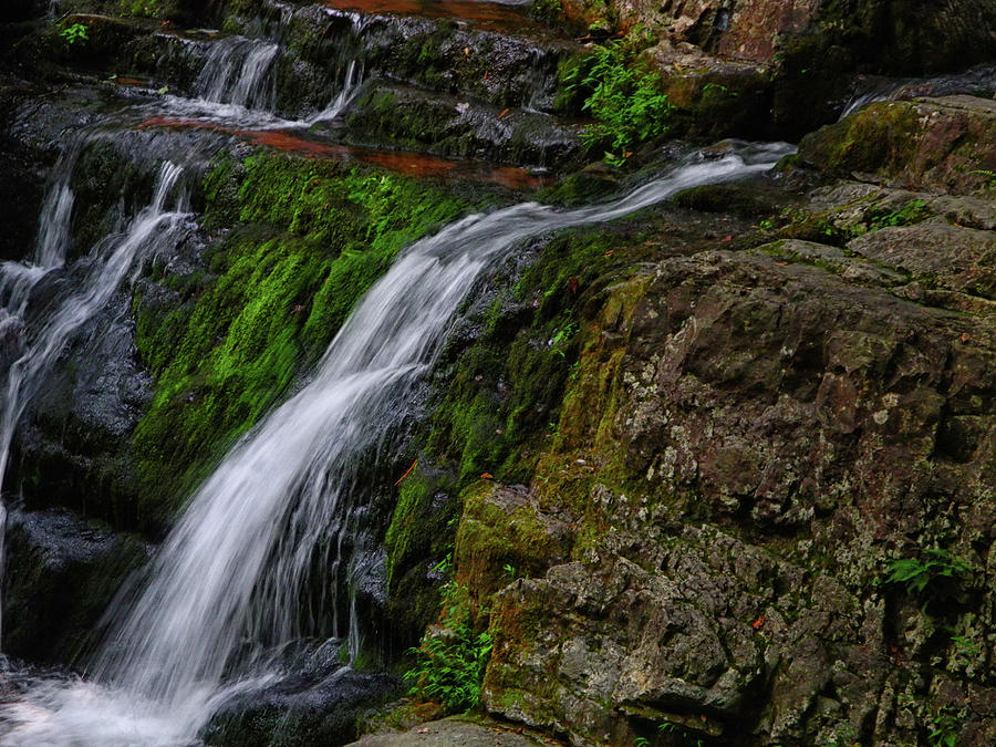 Dunnfield Creek Falls 2 Photograph by Raymond Salani III