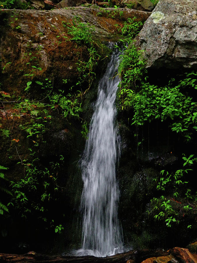 Dunnfield Creek Falls Photograph by Raymond Salani III