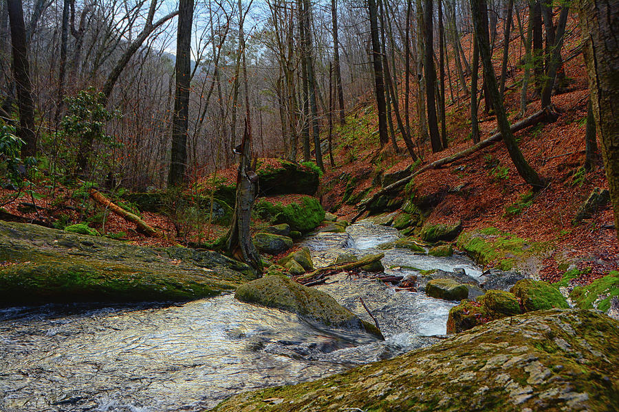 Dunnfield Creek on NJs AT Photograph by Raymond Salani III