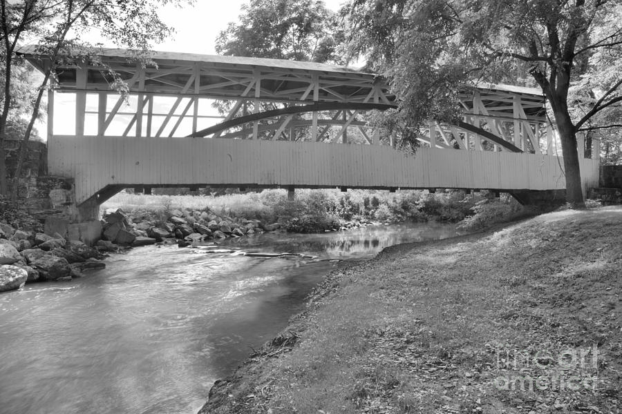 Dunning Creek Under The Bridge Black And White Photograph by Adam Jewell