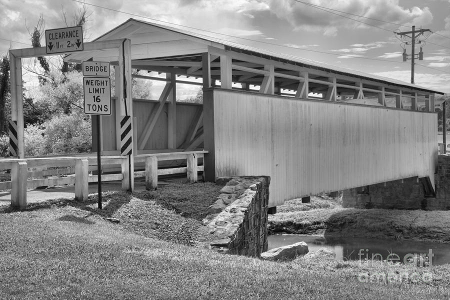 Dunnings Creek Crossing Black And White Photograph by Adam Jewell