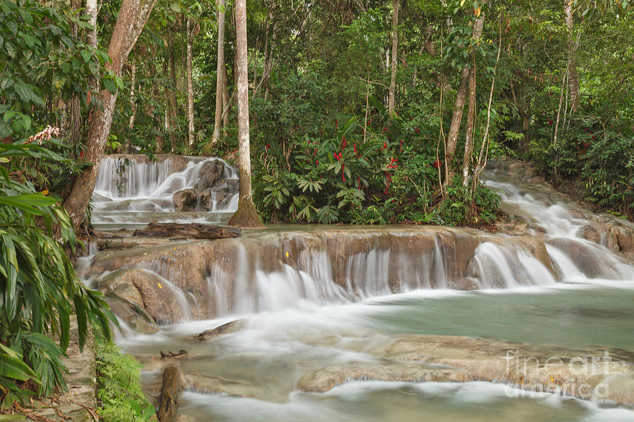 Dunn's River Falls - Another View by Charles Kozierok Dunn's River Falls - Another View by Charles Kozierok