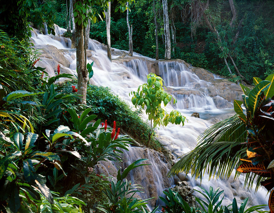 Dunns River Falls Jamaica Photograph by Cliff Wassmann