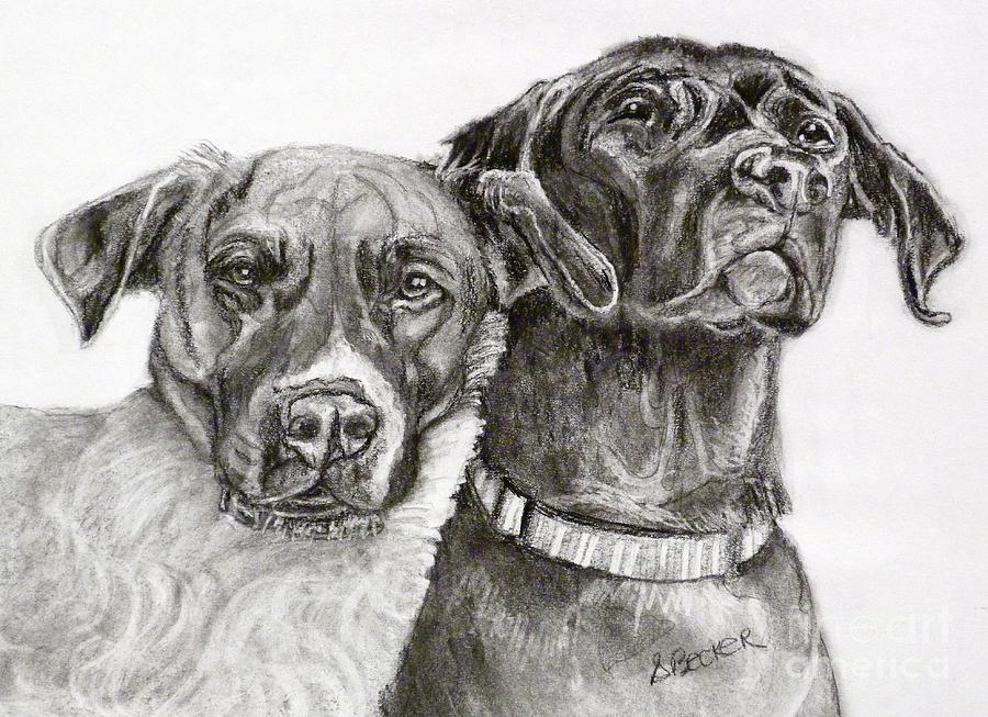 Duo Drawing by Susan A Becker