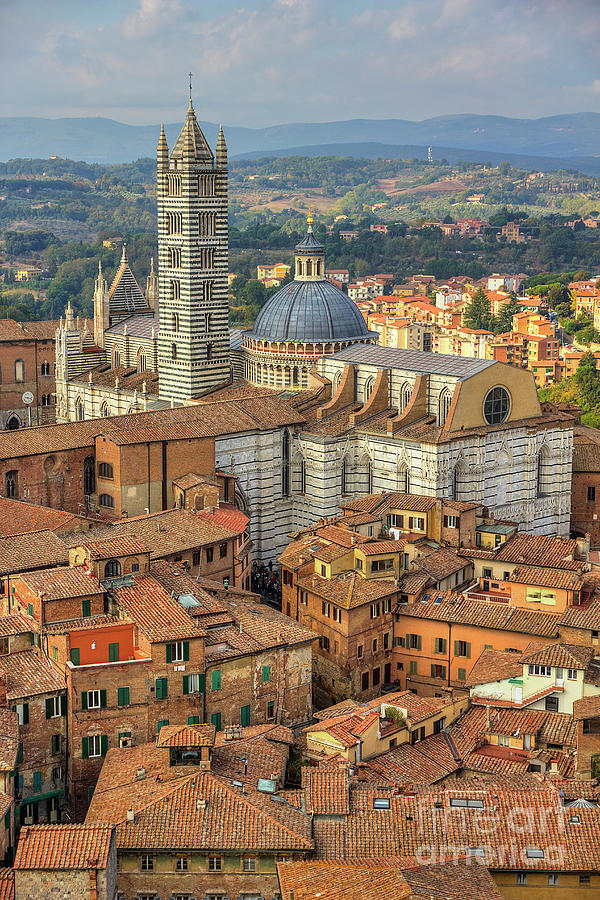 Duomo di Siena Photograph by Spencer Baugh