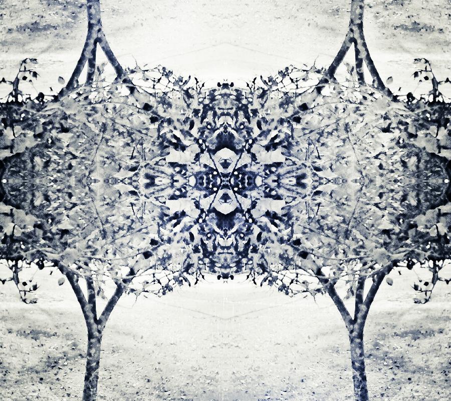 Black And White Digital Art - Duplicity - Black And White by Brenda Plyer Black And White Digital Art - Duplicity - Black And White by Brenda Plyer