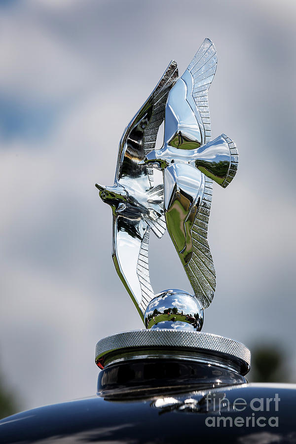 Dupont Hood Ornament Photograph by Dennis Hedberg