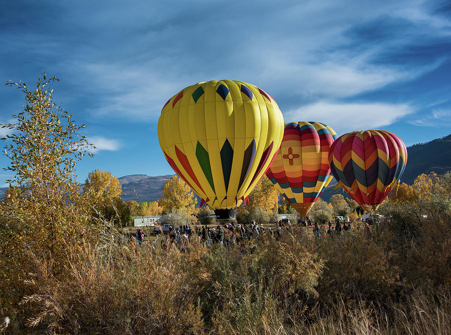 Durango Balloons Across The Grassy Field Photograph by JG Thompson - Pixels