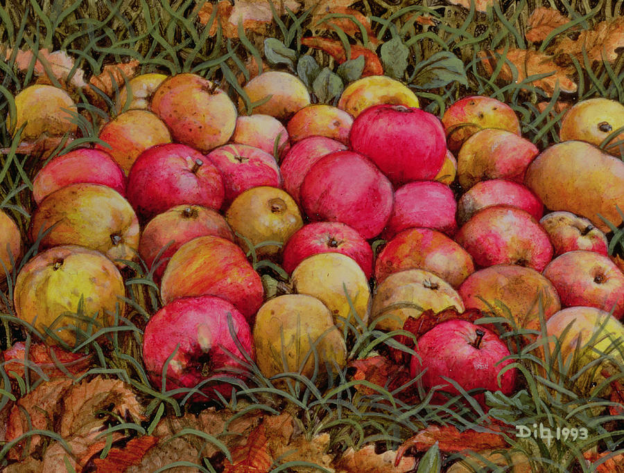 Apple Painting - Durnitzhofer Apples by Ditz