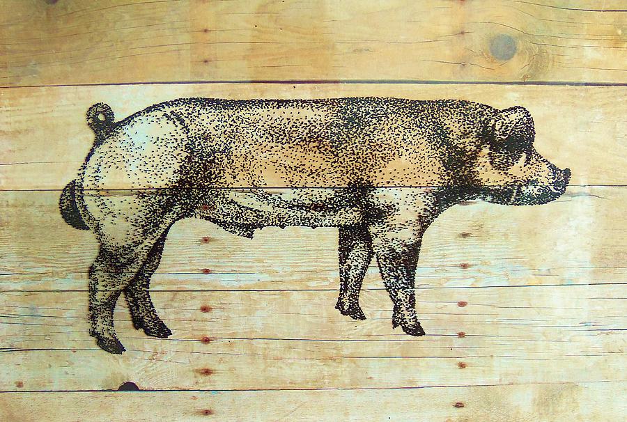 Duroc   Boar Drawing by Larry Campbell