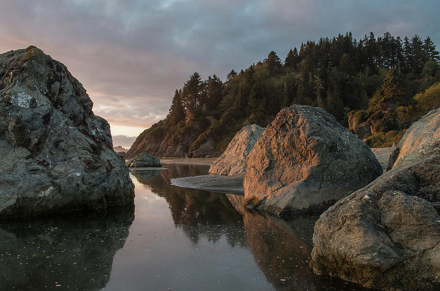 Dusk among Little River Sea Stacks Photograph by Greg Nyquist