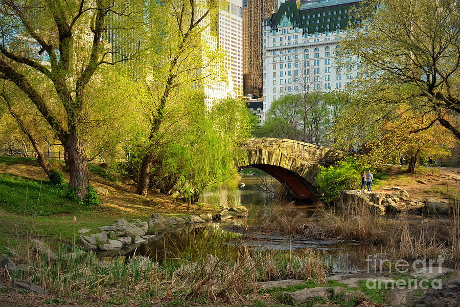Dusk at Gapstow Bridge - Central Park in Spring Photograph by Miriam Danar