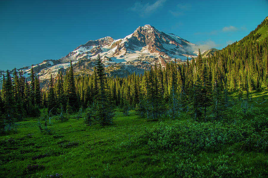 Dusk at Indian Henry Campground Photograph by Doug Scrima