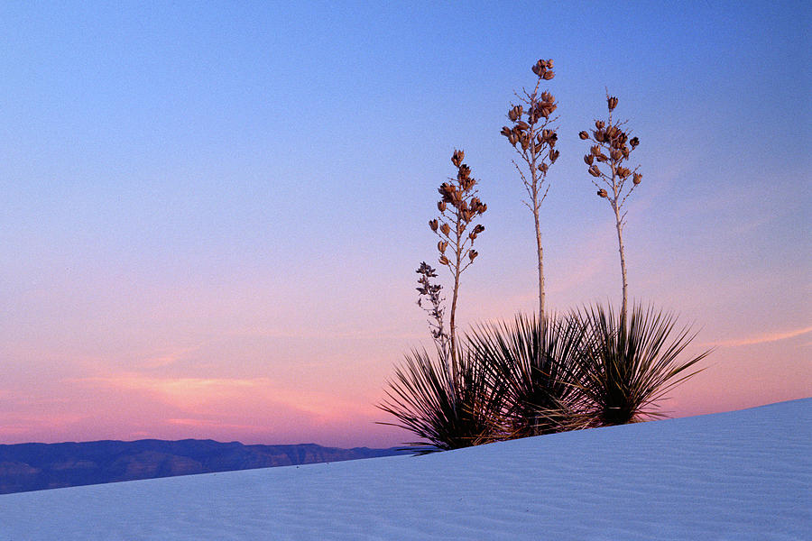 Dusk at White Sands Photograph by Jerry Griffin