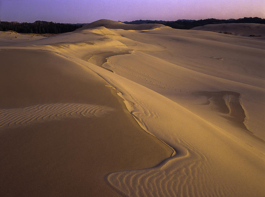 Dusk Dune Patterns Photograph by Robert Potts
