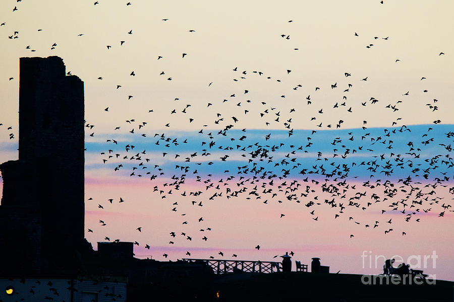 2016 Photograph - Dusk In Aberystwyth by Keith Morris 2016 Photograph - Dusk In Aberystwyth by Keith Morris