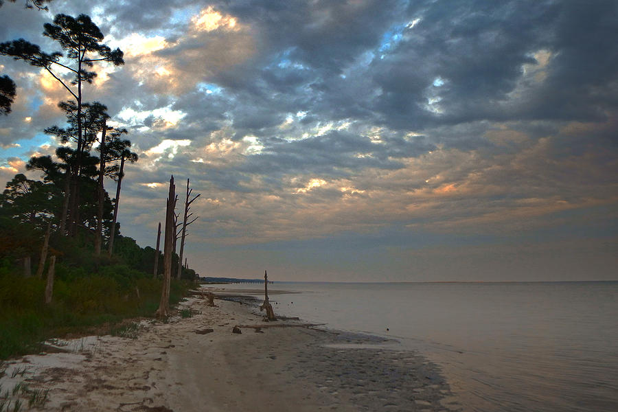 Dusk on the Gulf Photograph by Judy Hall-Folde