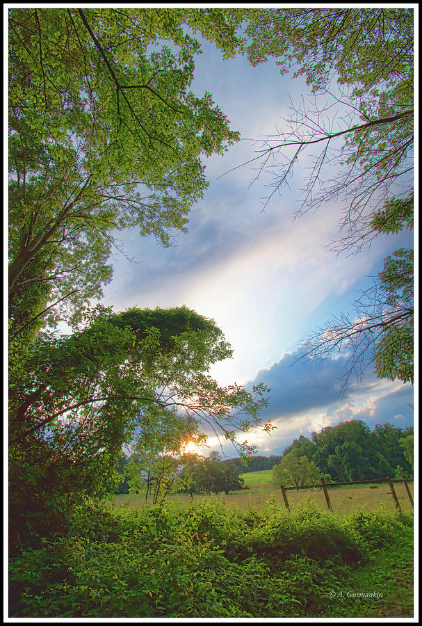 Dusk Over a Country Meadow Photograph by A Macarthur Gurmankin