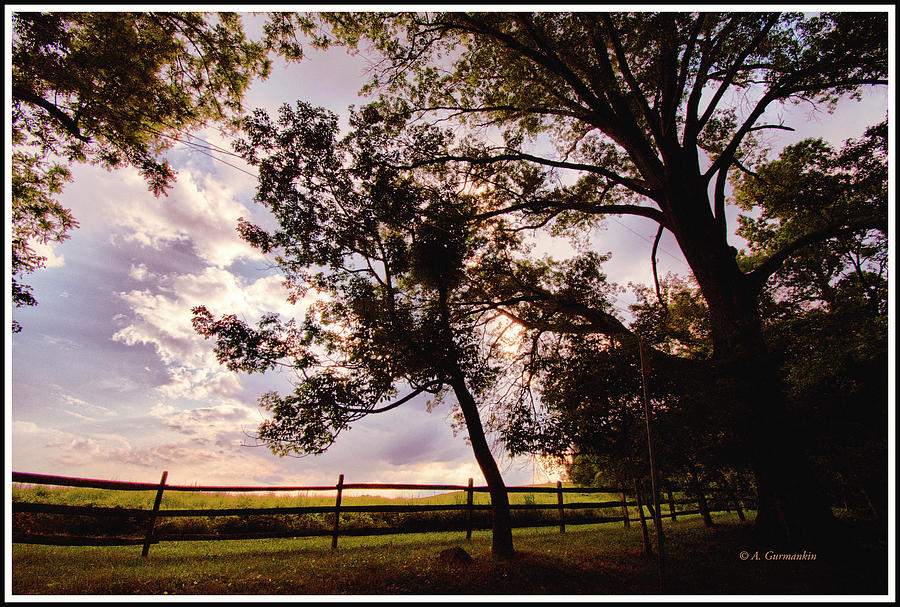 Dusk, Tree, Fence Silhouettes, Montgomery County, Pennsylvania Photograph by A Macarthur Gurmankin