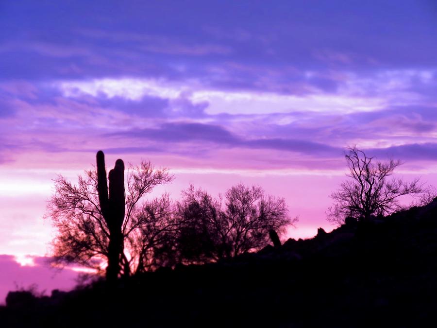 Dusky Desert Purple-Pink Photograph by Judy Kennedy