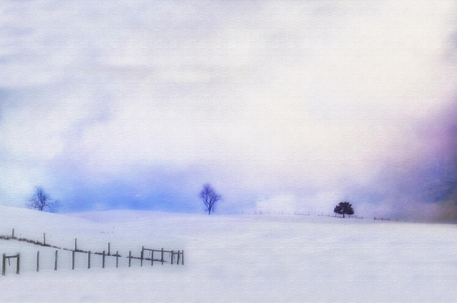 Winter Photograph - Dusky Snow by Kathy Jennings