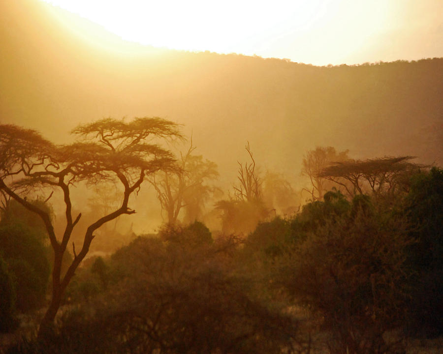 Dust Over Samburu Photograph by Pamela Peters