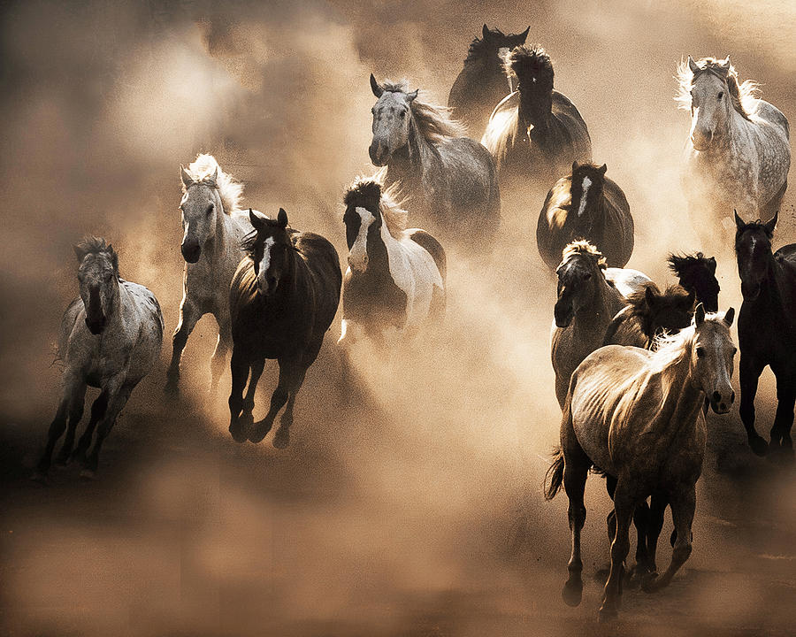 Dust Storm by Elaine Haberland Dust Storm by Elaine Haberland