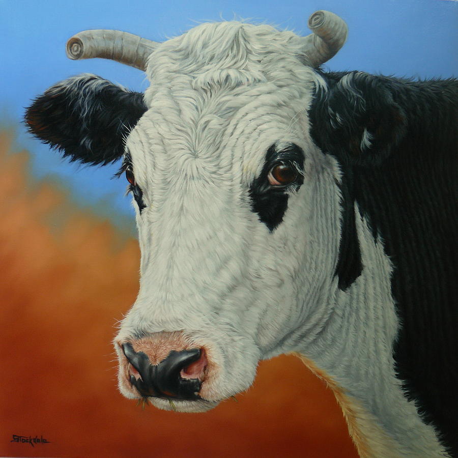 Cow Painting - Dust Storm-Portrait of Pet by Margaret Stockdale
