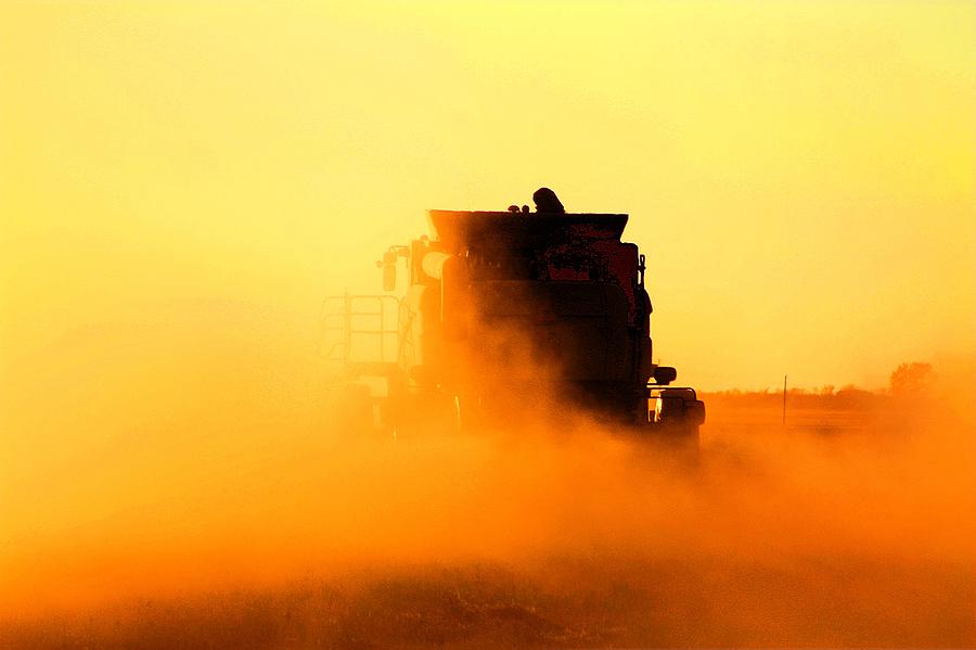 Dust trail of Combine Photograph by David Matthews