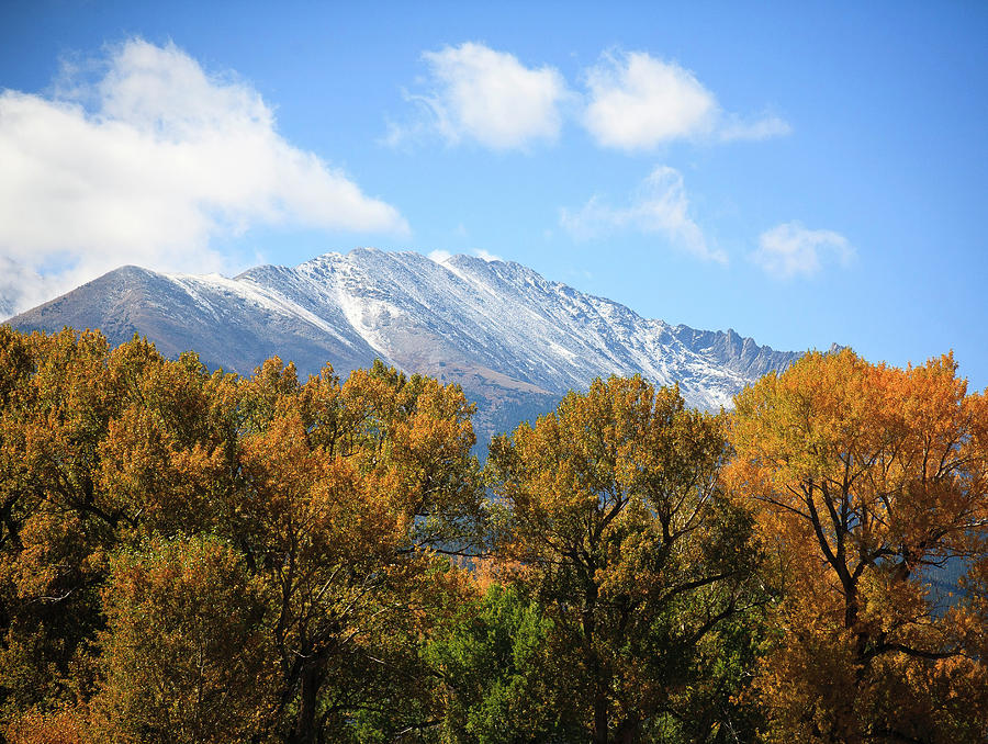 Dusting Of Snow In Fall Photograph