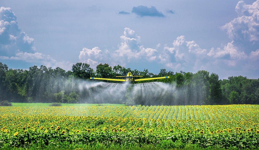 Dusting The Crop Photograph by Bill Pevlor
