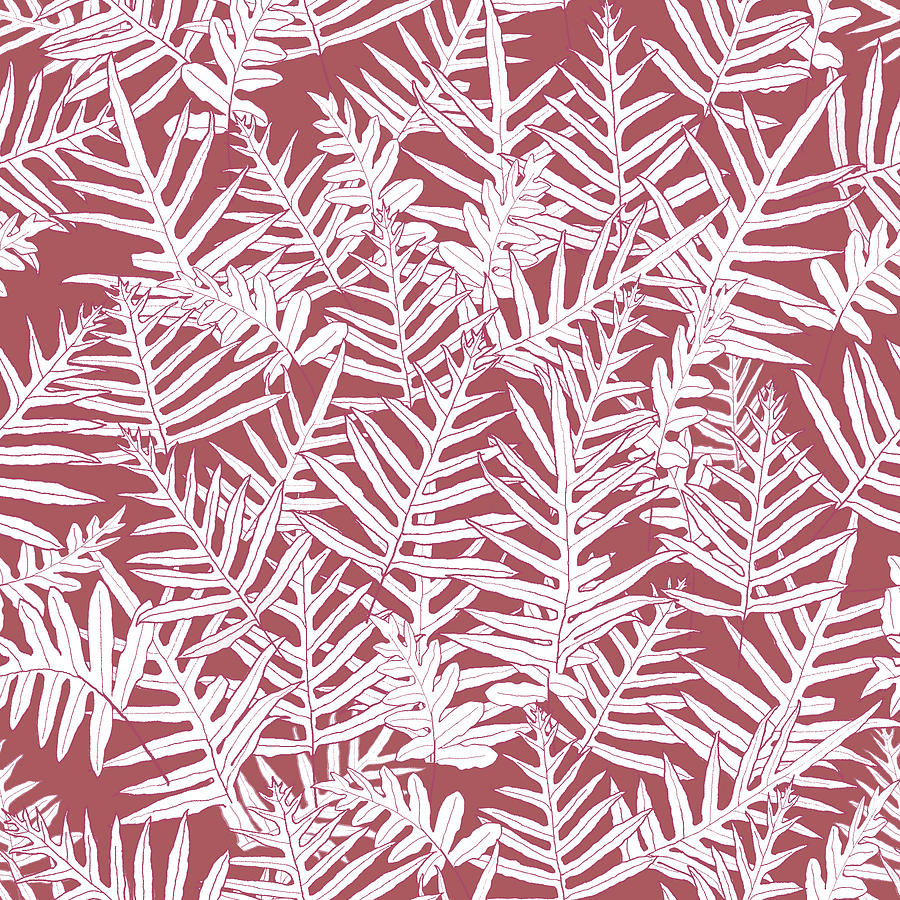 Dusty Cedar Ferns Sketch by Karen Dyson Dusty Cedar Ferns Sketch by Karen Dyson